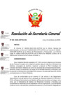Vista preliminar de documento RSG N 004-2025