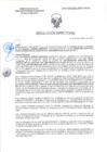 Vista preliminar de documento RD-0579-2025-DSAIA-DIRIS-LE-MINSA