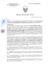 Vista preliminar de documento RD-0599-2025-DSAIA-DIRIS-LE-MINSA