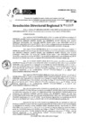 Vista preliminar de documento RDR 11229-2024
