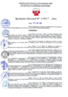 Vista preliminar de documento R.D-N°-000017-NOMBRAR-SOLIS-TELLO-MILAGROS-DEL-PILAR