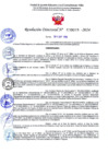 Vista preliminar de documento R.D-N°-000019-NOMBRAR-PAREDES-ROMAN-MELISSA-ILIANA