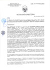 Vista preliminar de documento RD-0604-2025-DSAIA-DIRIS-LE-MINSA