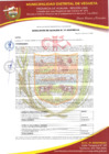 Vista preliminar de documento RESOLUCION DE ALCALDIA N° 021-2025-MDV