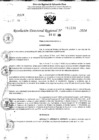 Vista preliminar de documento RDR 11231-2024
