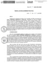 Vista preliminar de documento 007-2025-INSN-OEA