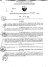 Vista preliminar de documento RDR 11232-2024