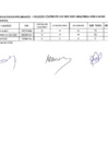 Vista preliminar de documento 04.02.2025 | CAS 002-2025 Resultados Preliminares