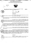 Vista preliminar de documento RDR 11234-2024