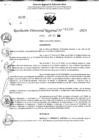 Vista preliminar de documento RDR 11235-2024