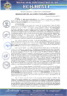 Vista preliminar de documento RESOLUCION N°035-2025-A001