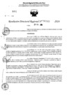 Vista preliminar de documento RDR 11243-2024
