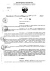 Vista preliminar de documento RDR 11245-2024