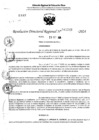 Vista preliminar de documento RDR 11246-2024