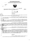 Vista preliminar de documento RDR 11247-2024