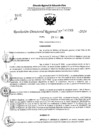 Vista preliminar de documento RDR 11248-2024