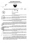 Vista preliminar de documento RDR 11249-2024