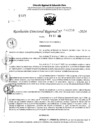 Vista preliminar de documento RDR 11250-2024