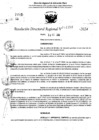 Vista preliminar de documento RDR 11253-2024