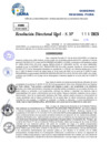 Vista preliminar de documento Resolucion Directoral N° 000235-2025