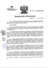 Vista preliminar de documento RD N°027