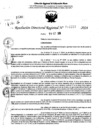 Vista preliminar de documento RDR 11257-2024