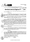 Vista preliminar de documento RDR 11258-2024