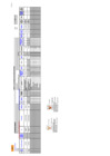 Vista preliminar de documento ANEXO PAC