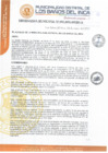 Vista preliminar de documento ORDENANZA MUNICIPAL N° 002-2025-MDBI/A