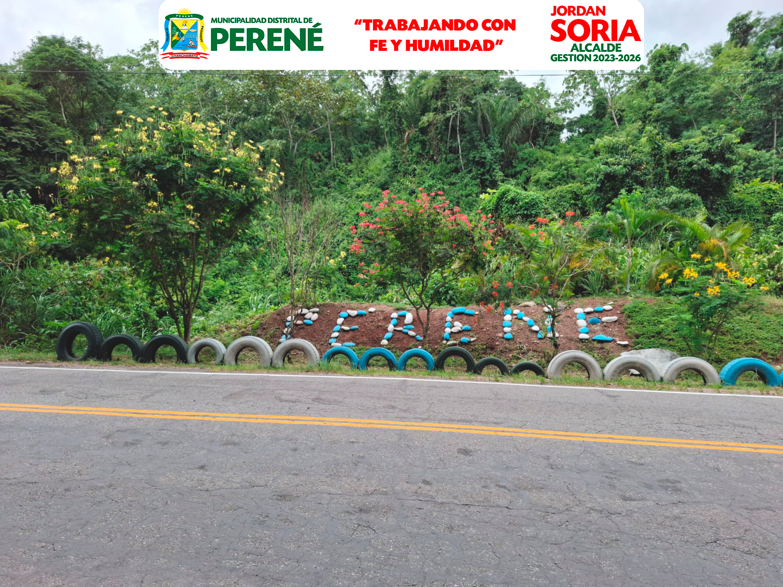 Cuidemos Nuestras Áreas Verdes Perené