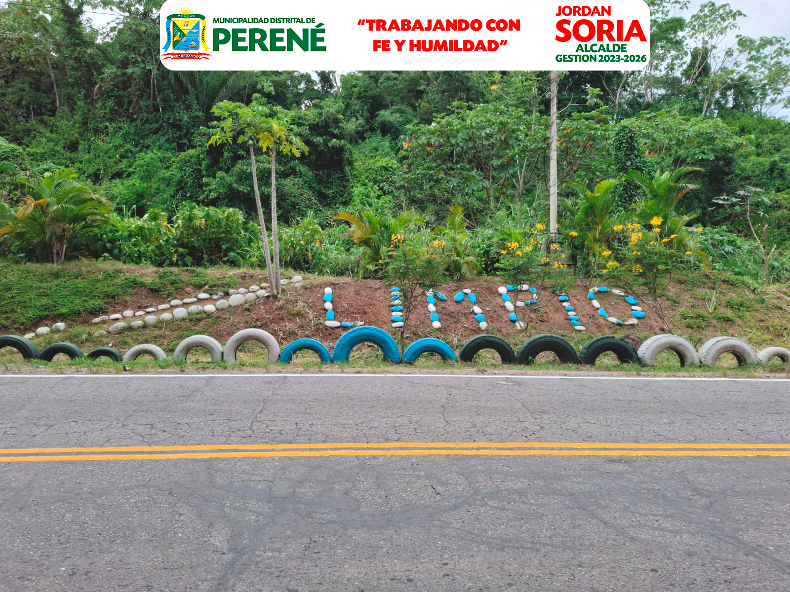 Cuidemos Nuestras Áreas Verdes Perené