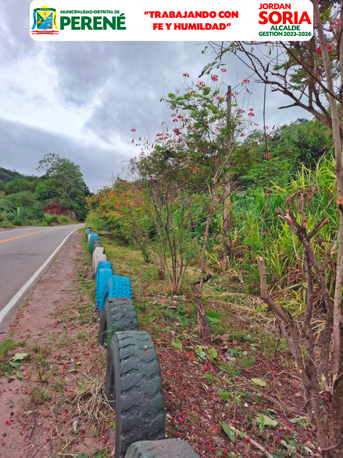 Cuidemos Nuestras Áreas Verdes Perené