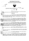 Vista preliminar de documento RDR 11264-2024