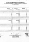 Vista preliminar de documento ESTADO DE CAMBIOS EN EL PATRIMONIO NETO