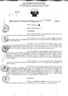 Vista preliminar de documento RDR 11267-2024
