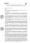 Vista preliminar de documento Resolución de Comisión Organizadora N° 021-2025-CO-UNAT