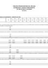 Vista preliminar de documento Ejecución presupuestaria de proyectos - Diciembre 2024