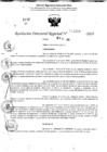 Vista preliminar de documento RDR 11269-2024