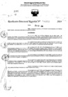 Vista preliminar de documento RDR 11273-2024