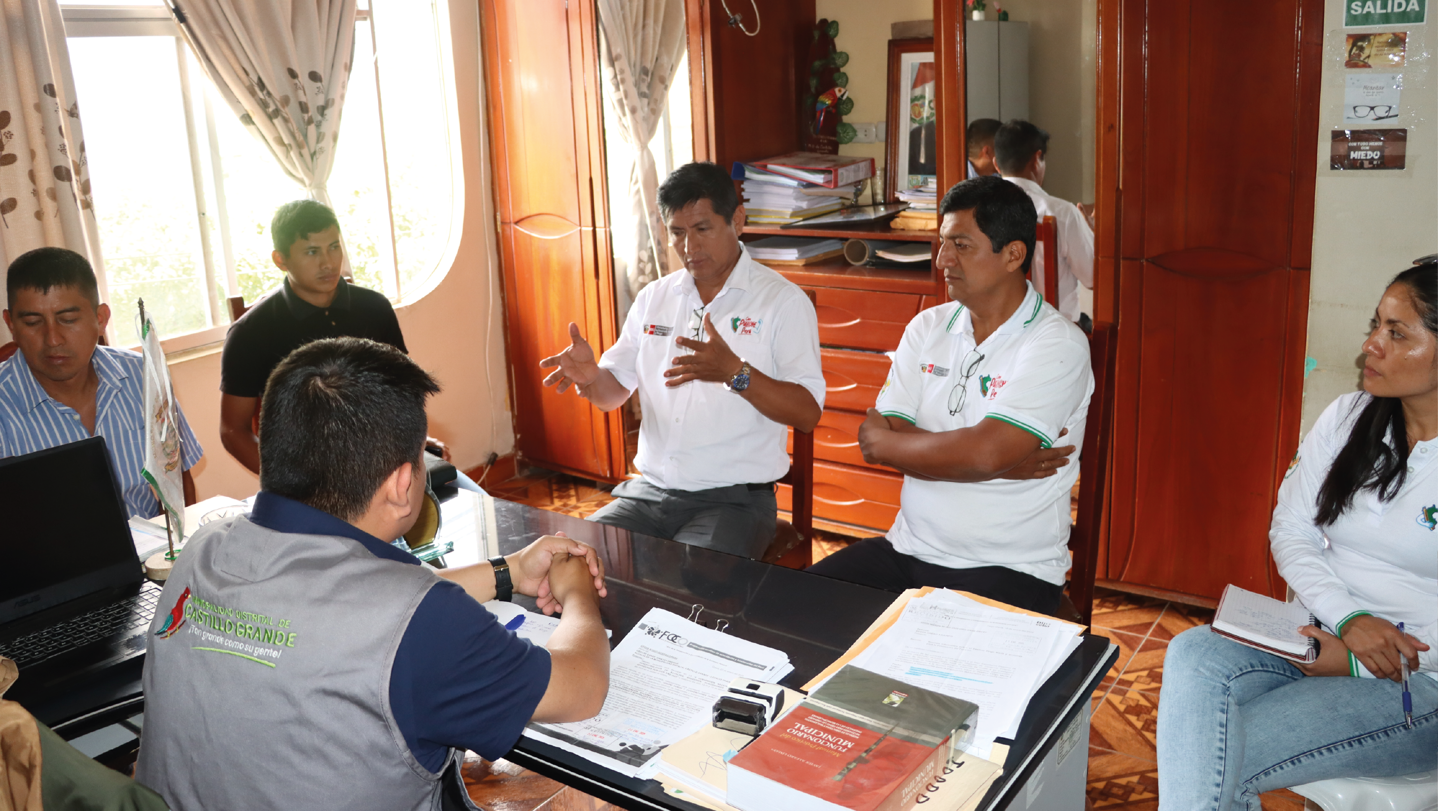 DIRECTOR EJECUTIVO