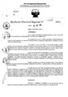 Vista preliminar de documento RDR 11275-2024