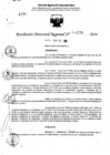 Vista preliminar de documento RDR 11276-2024