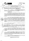 Vista preliminar de documento RDR 11277-2024