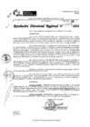Vista preliminar de documento RDR 11278-2024