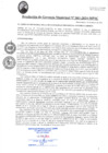 Vista preliminar de documento RGM061-2024