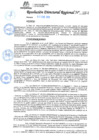 Vista preliminar de documento RESOLUCIÓN DIRECTORIAL REGIONAL N° 000002-2025