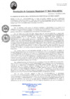 Vista preliminar de documento RGM062-2024
