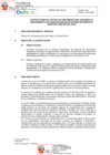 Vista preliminar de documento TDR 1028