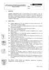 Vista preliminar de documento DIRECTIVA (1)