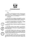 Vista preliminar de documento RD N 009-2025-DE